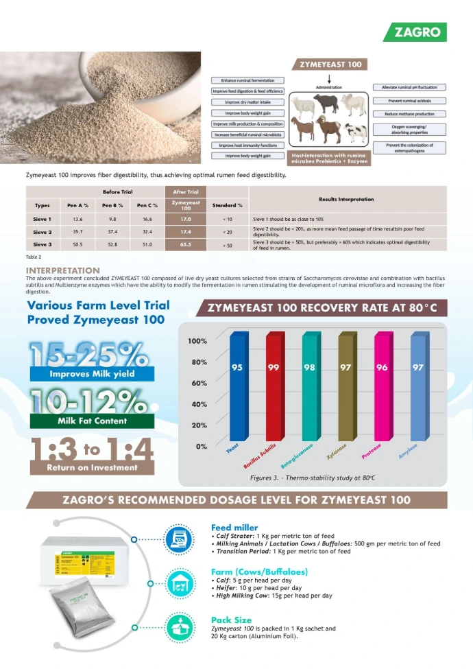 Yeast culture for dairy cows rumen health
