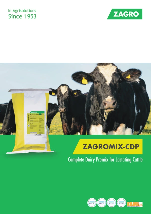 Dairy cows feeding high quality supplements
