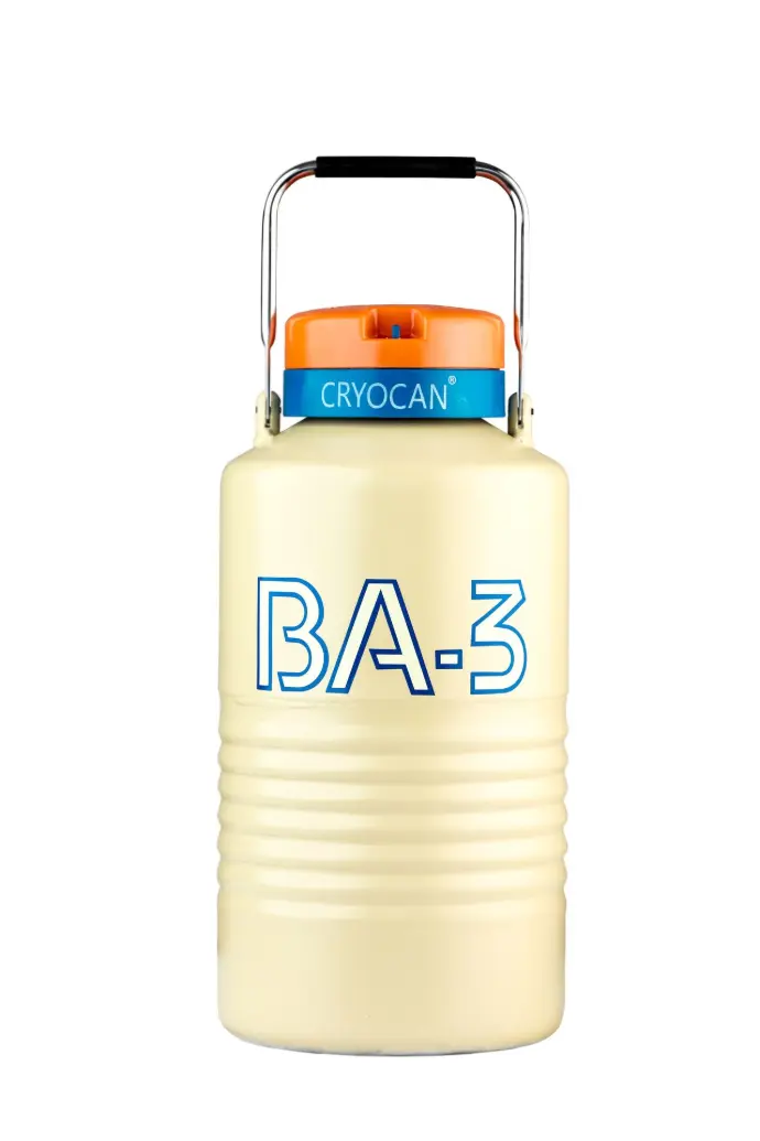 BA 3